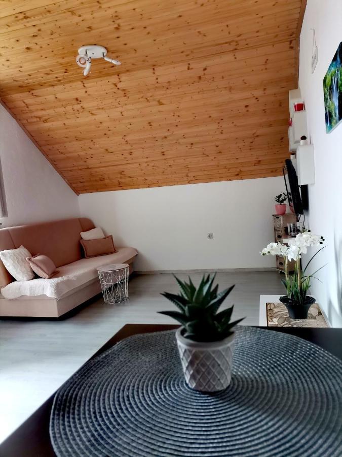 Apartment Dolores สโมลยานัซ ภายนอก รูปภาพ